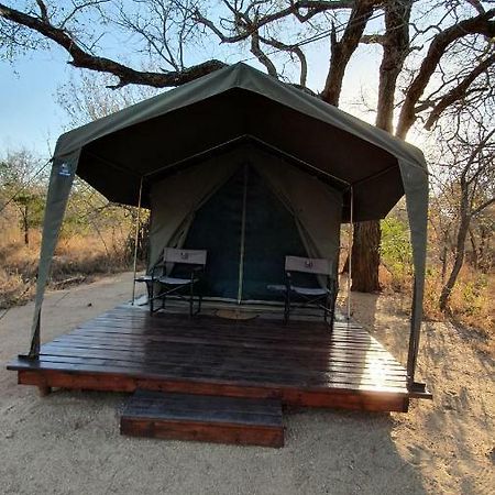 Mzsingitana Tented Camp Hoedspruit Zewnętrze zdjęcie
