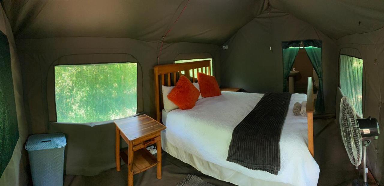 Mzsingitana Tented Camp Hoedspruit Zewnętrze zdjęcie