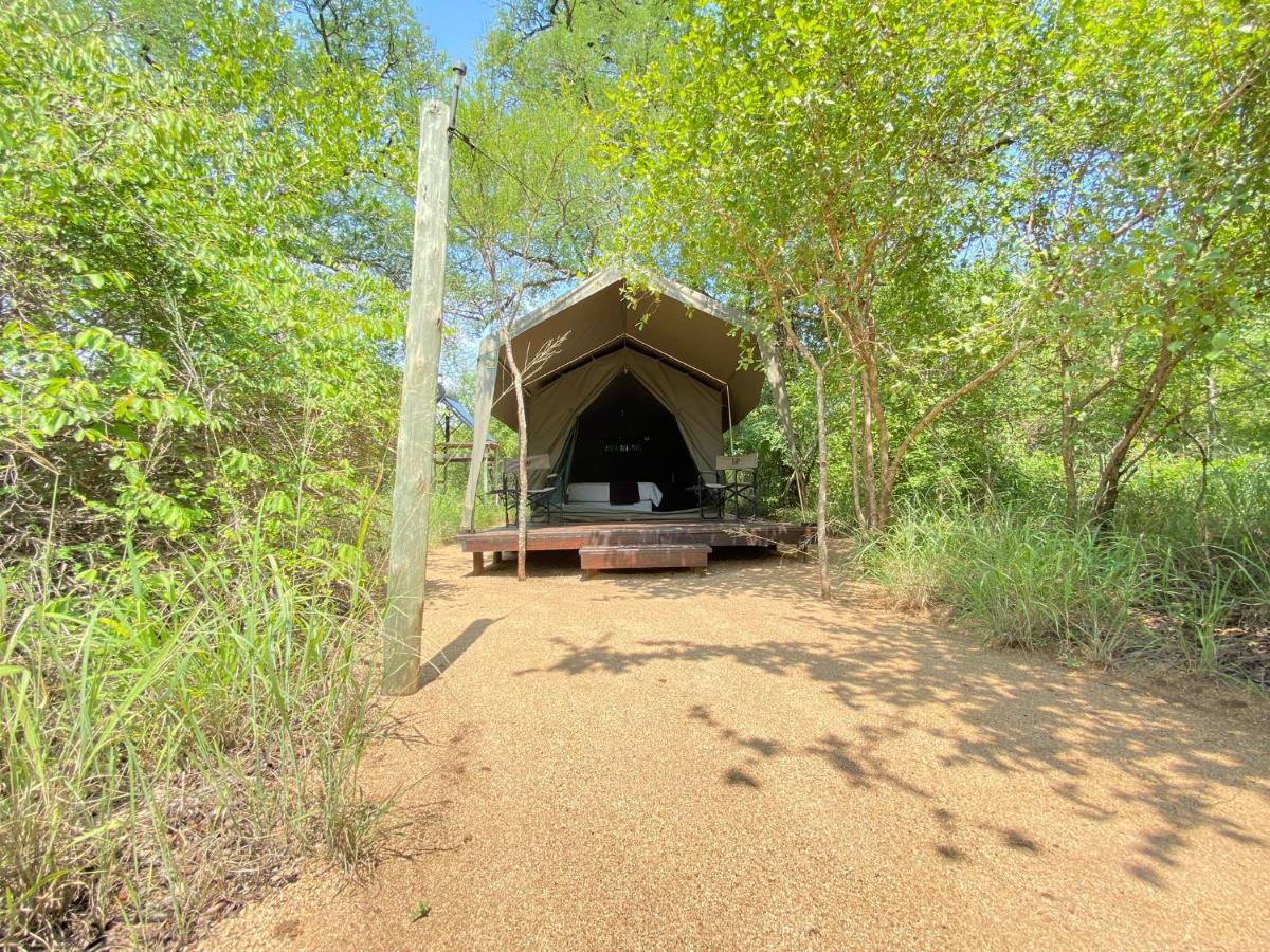 Mzsingitana Tented Camp Hoedspruit Zewnętrze zdjęcie