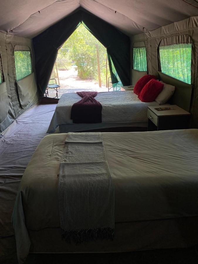 Mzsingitana Tented Camp Hoedspruit Zewnętrze zdjęcie
