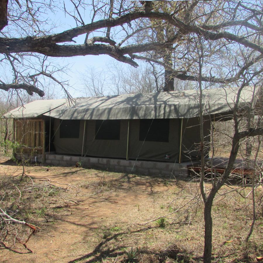 Mzsingitana Tented Camp Hoedspruit Zewnętrze zdjęcie