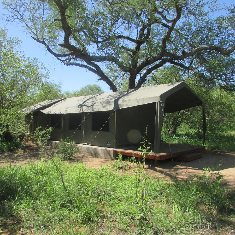 Mzsingitana Tented Camp Hoedspruit Zewnętrze zdjęcie