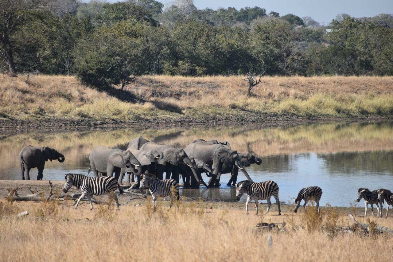 Mzsingitana Tented Camp Hoedspruit Zewnętrze zdjęcie