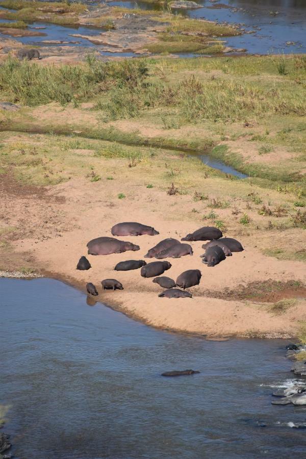 Mzsingitana Tented Camp Hoedspruit Zewnętrze zdjęcie