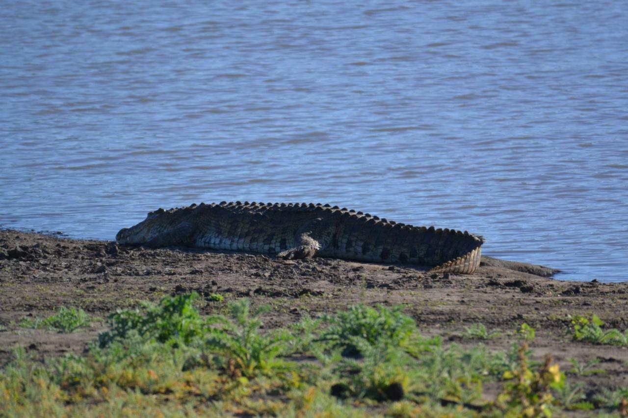 Mzsingitana Tented Camp Hoedspruit Zewnętrze zdjęcie