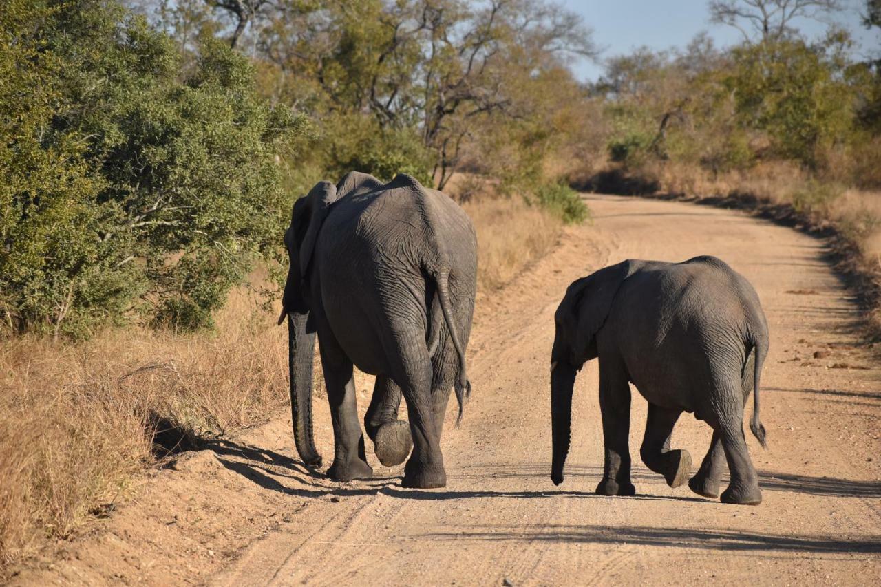 Mzsingitana Tented Camp Hoedspruit Zewnętrze zdjęcie