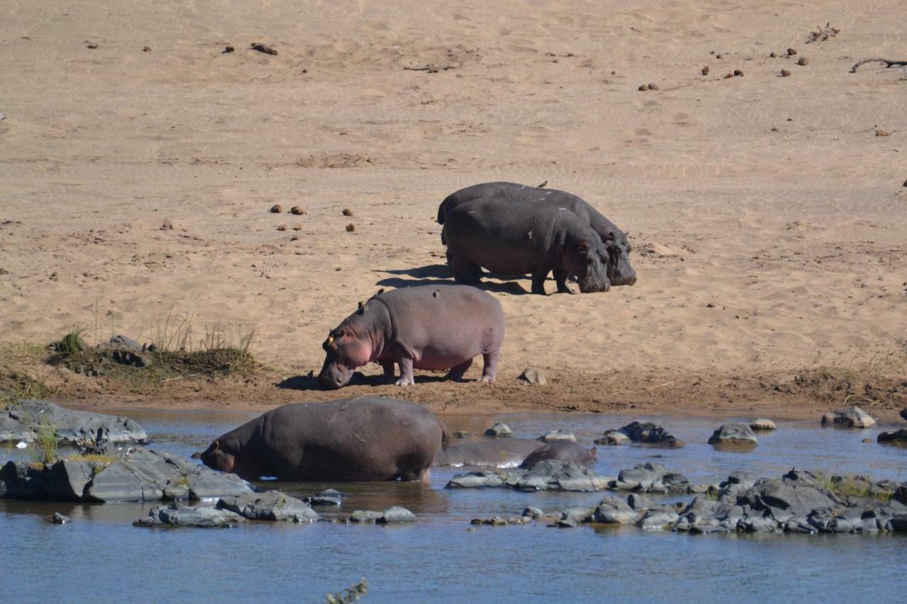 Mzsingitana Tented Camp Hoedspruit Zewnętrze zdjęcie