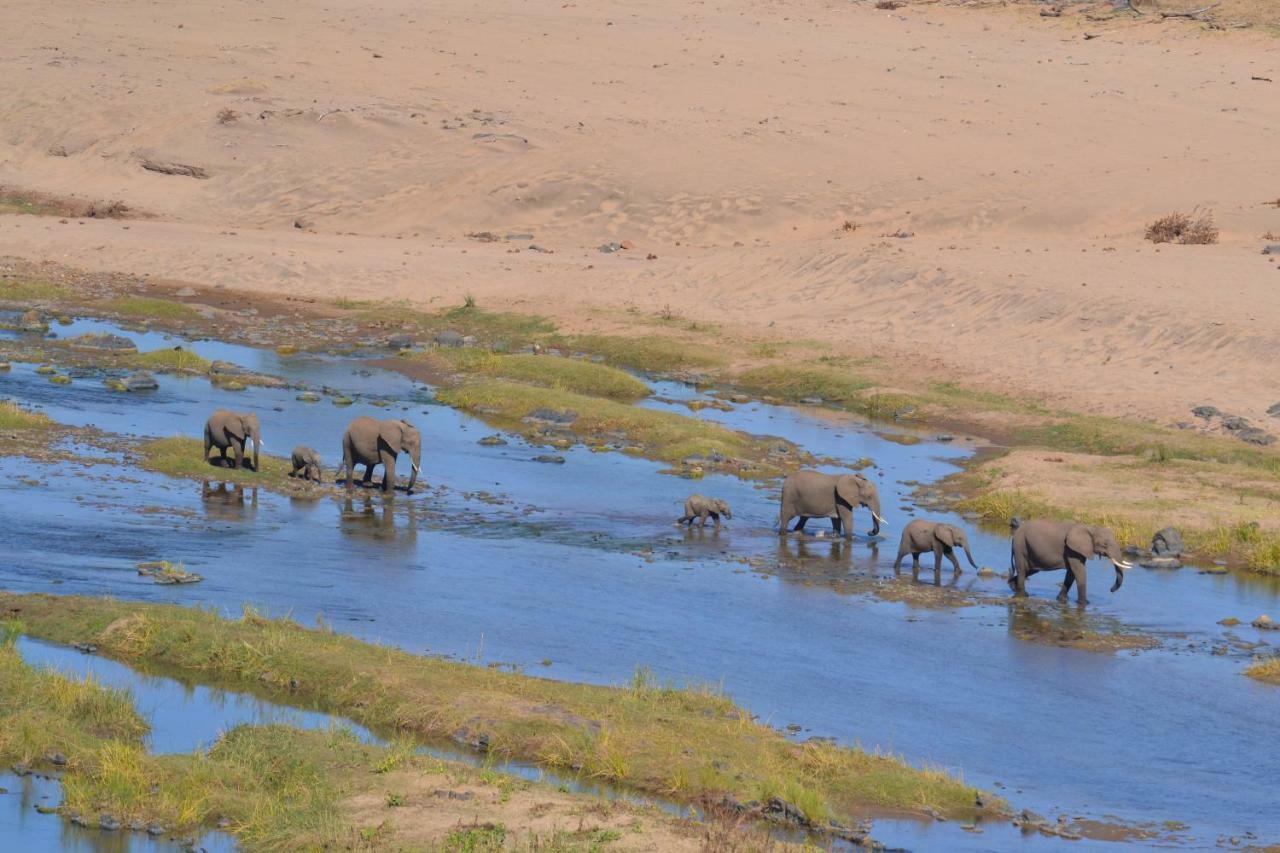 Mzsingitana Tented Camp Hoedspruit Zewnętrze zdjęcie