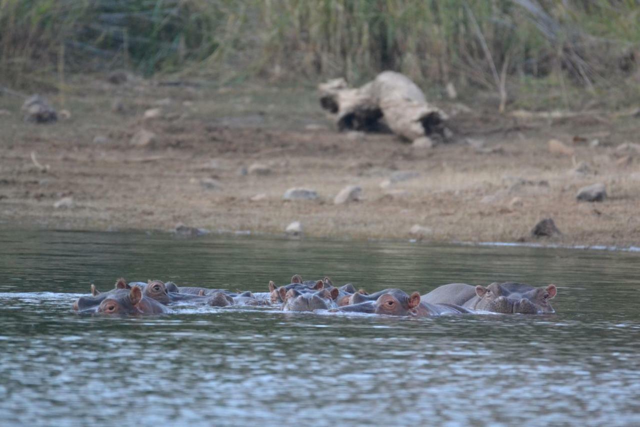 Mzsingitana Tented Camp Hoedspruit Zewnętrze zdjęcie