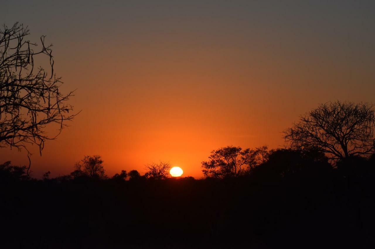 Mzsingitana Tented Camp Hoedspruit Zewnętrze zdjęcie